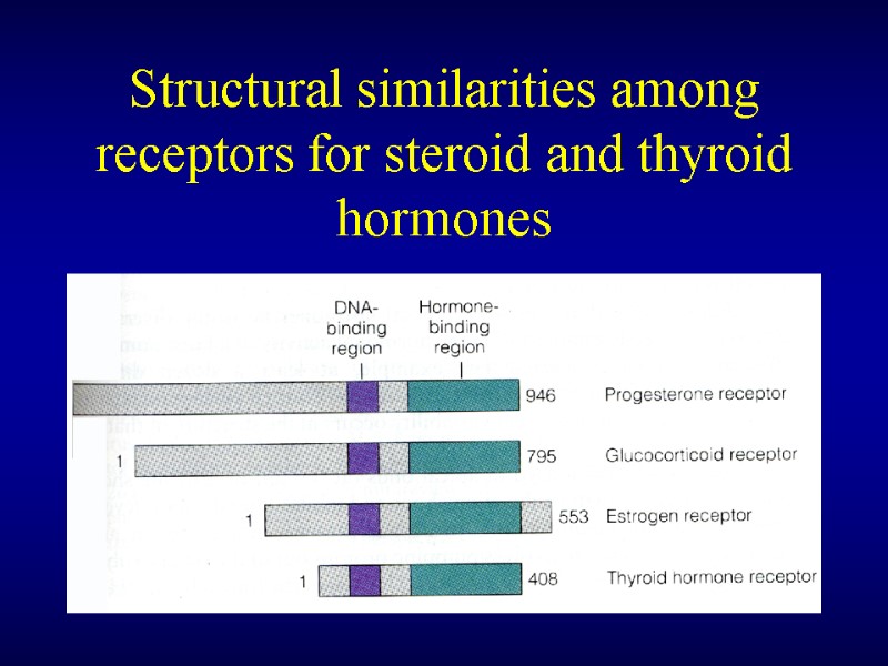 Structural similarities among receptors for steroid and thyroid hormones